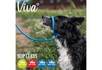 Ancol - Viva - Slip Nylon Rope Lead - Blue - 1.5m X 8mm
