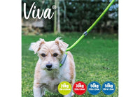 Ancol - Viva Nylon Reflective Rope Slip Lead - Lime - 150cm x 8mm (Max 20kg)