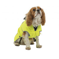 Ancol - Stormguard Dog Coat - Blue - X Large