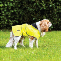Ancol - Stormguard Dog Coat - Blue - X Large