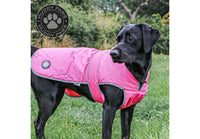 Ancol - Stormguard Dog Coat - Pink - X Large
