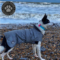 Ancol - Ultimate Reflective Dog Coat - S
