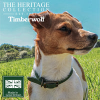 Ancol - Timberwolf Round Leather Collar - Green - 28-36cm (Size 3)