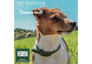 Ancol - Timberwolf Round Leather Collar - Green - 28-36cm (Size 3)
