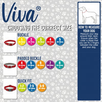 Ancol - Viva Collar - Raspberry Pink - Size 6 (22")