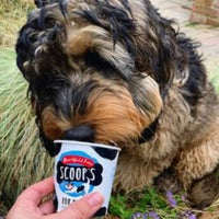 Marshfield Farm - Scoop's Ice Cream for Dogs - Vanilla - 125ml