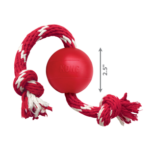 Kong - Ball With rope - Small
