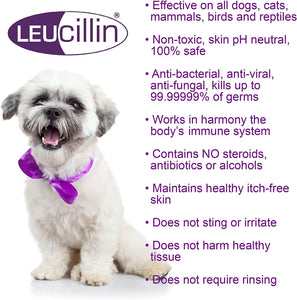 Leucillin - Antiseptic Skin Care Spray - 250ml