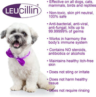 Leucillin - Antiseptic Skin Care Dropper - 50ml