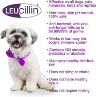 Leucillin - Antiseptic Skin Care Dropper - 50ml
