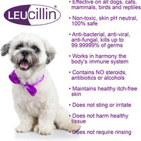 Leucillin - Antiseptic Skin Care Spray - 150ml