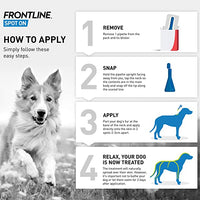 Frontline - Spot On Large Dog - 20 to 40kg - 1 Pipette