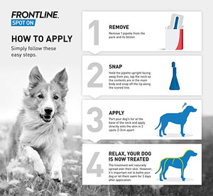 Frontline - Spot On Large Dog - 20 to 40kg - 1 Pipette