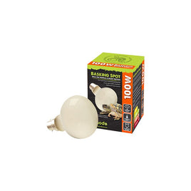 Komodo - Basking Spot - BC Bulb - 100w