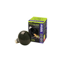 Komodo - Moonlight - ES Bulb - 100W