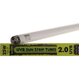 Komodo - Fluorescent Bulb T8 UVB 2.0 - 25W