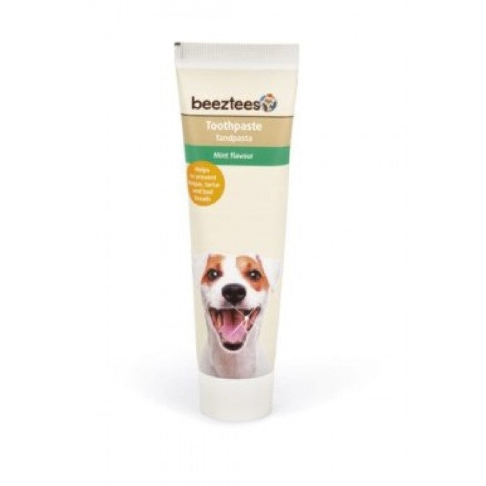 Beeztees - Toothpaste Dog Mint Flavour - 100g