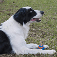 Chuckit - Ultra Squeaker Ball - Medium (6.5cm) - 2pk