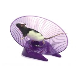 Sharples - Small 'N' Furry - Flying Saucer Wheel - 12