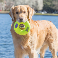 Kong - Airdog Squeaker donut - Medium
