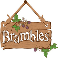 Brambles - Meaty Hedgehog Food - 400g