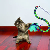 Kong - Curlz Cat Teaser
