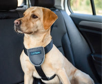 Company of Animals - Clix Car Safe Harness - Medium