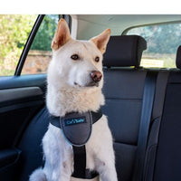 Company of Animals - Clix Car Safe Harness - Large