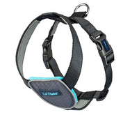 Company of Animals - Clix Car Safe Harness - Large
