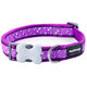Red Dingo - Purple Bones Dog Collar - Large