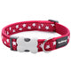 Red Dingo - Red Stars Dog Collar - Small