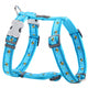 Red Dingo - Turquoise Bumble Bee Harness - Large