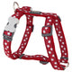 Red Dingo - Red Stars Harness - Medium