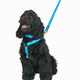Red Dingo - Turquoise Stars Harness - Medium
