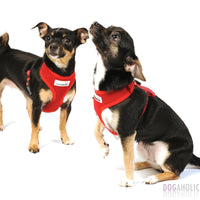 Doodlebone - Originals Airmesh Harness - Violet - Size 1