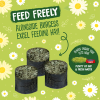 Burgess - Excel - Nature Snacks - Meadow Munchies  -1kg
