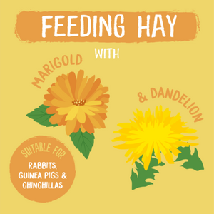 Burgess - Excel - Herbage Feeding Hay - Dandelion & Marigold - 1kg