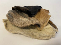 Goat Ear (with Fur)
