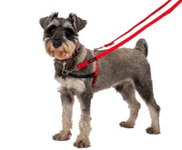 Halti - Double Ended Training Lead - Red - Large