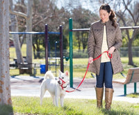 Halit - Double Ended Training Lead - Red - Small (2 Metre)
