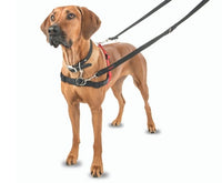 Company of Animals - Halti Front Control Harness - Black - Large