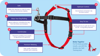 Company of Animals - Halti Front Control Harness - Black - Large