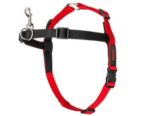 Company of Animals - Halti Front Control Harness - Black - Large