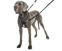 Halti - No Pull Harness - Medium