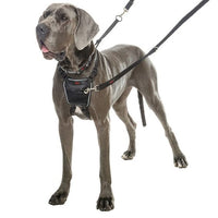 Halti - No Pull Harness - Medium