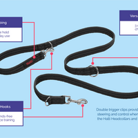 Halit - Double Ended Training Lead - Red - Small (2 Metre)