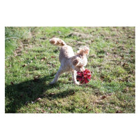 Happy Pet - Hugs Fluffle Ball - Small