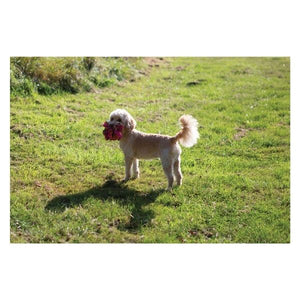 Happy Pet - Hugs Fluffle Ball - Small