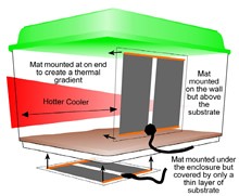 Komodo - Advanced Heat Mat-  3watt - 96x146mm