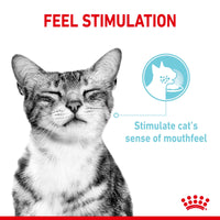 Royal Canin - Sensory Cat Food - Variety Multipack (in gravy)